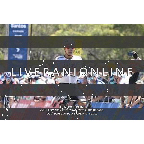 25-01-2025 Tour Down Under; Tappa 05 Mclaren Vale - Willunga Hill; 2025, Uae Team Emirates - Xrg; Narvaez, Jhonnatan; Willunga Hill; ©SIROTTI- AGENZIA ALDO LIVERANI SAS