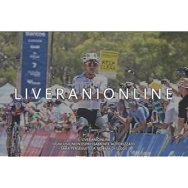 25-01-2025 Tour Down Under; Tappa 05 Mclaren Vale - Willunga Hill; 2025, Uae Team Emirates - Xrg; Narvaez, Jhonnatan; Willunga Hill; ©SIROTTI- AGENZIA ALDO LIVERANI SAS