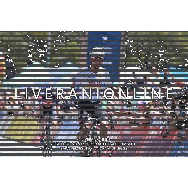 25-01-2025 Tour Down Under; Tappa 05 Mclaren Vale - Willunga Hill; 2025, Uae Team Emirates - Xrg; Narvaez, Jhonnatan; Willunga Hill; ©SIROTTI- AGENZIA ALDO LIVERANI SAS