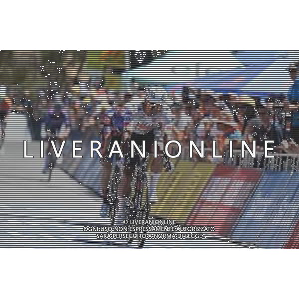 25-01-2025 Tour Down Under; Tappa 05 Mclaren Vale - Willunga Hill; 2025, Uae Team Emirates - Xrg; Narvaez, Jhonnatan; Willunga Hill; ©SIROTTI- AGENZIA ALDO LIVERANI SAS