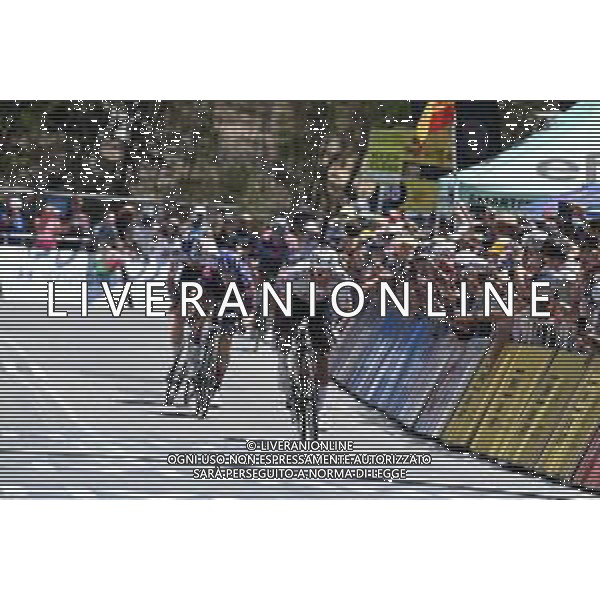 25-01-2025 Tour Down Under; Tappa 05 Mclaren Vale - Willunga Hill; 2025, Uae Team Emirates - Xrg; Narvaez, Jhonnatan; Willunga Hill; ©SIROTTI- AGENZIA ALDO LIVERANI SAS