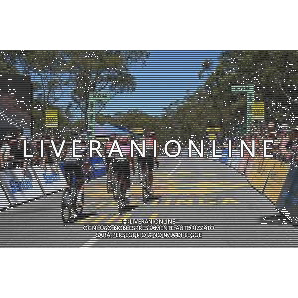 25-01-2025 Tour Down Under; Tappa 05 Mclaren Vale - Willunga Hill; Willunga Hill; ©SIROTTI- AGENZIA ALDO LIVERANI SAS