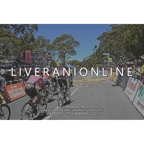 25-01-2025 Tour Down Under; Tappa 05 Mclaren Vale - Willunga Hill; Willunga Hill; ©SIROTTI- AGENZIA ALDO LIVERANI SAS
