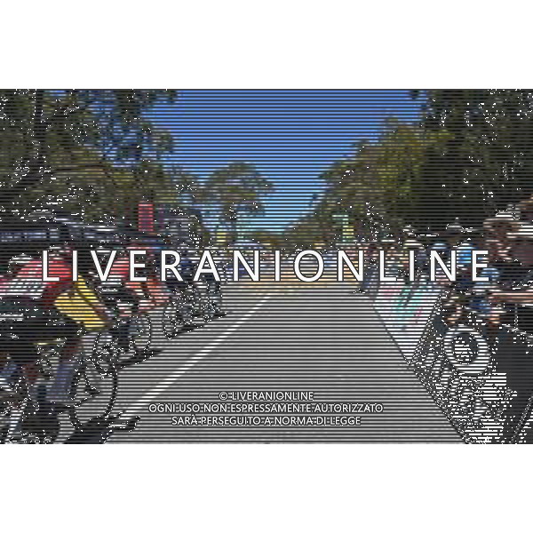25-01-2025 Tour Down Under; Tappa 05 Mclaren Vale - Willunga Hill; Willunga Hill; ©SIROTTI- AGENZIA ALDO LIVERANI SAS