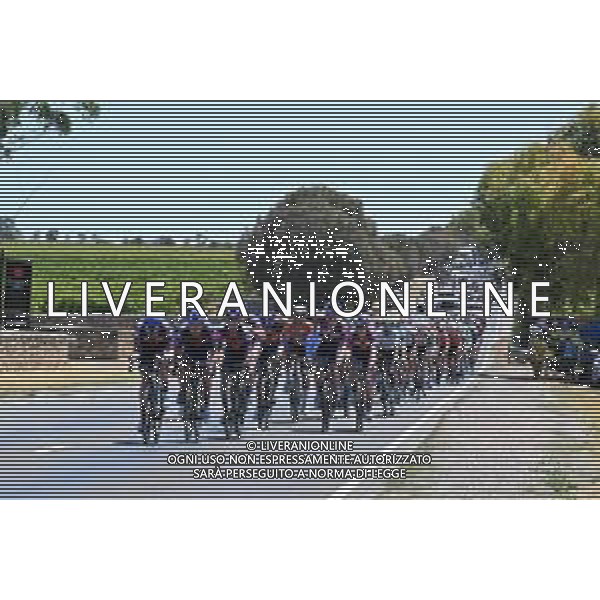 25-01-2025 Tour Down Under; Tappa 05 Mclaren Vale - Willunga Hill; 2025, Picnic - Postnl; ©SIROTTI- AGENZIA ALDO LIVERANI SAS