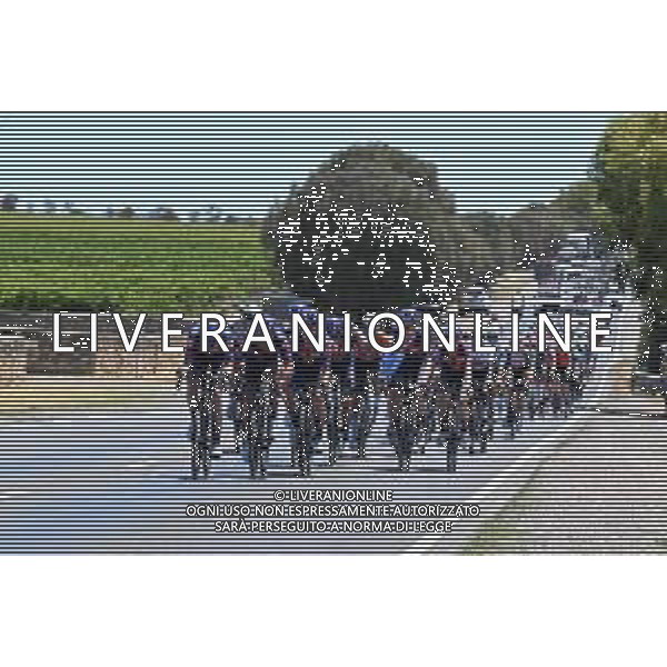 25-01-2025 Tour Down Under; Tappa 05 Mclaren Vale - Willunga Hill; 2025, Picnic - Postnl; ©SIROTTI- AGENZIA ALDO LIVERANI SAS