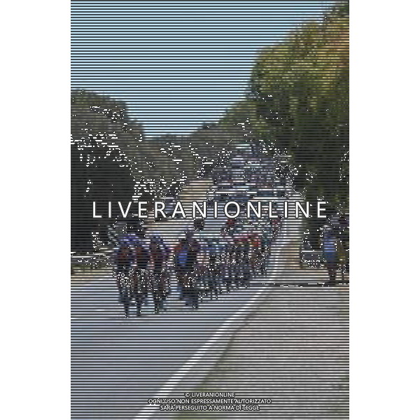 25-01-2025 Tour Down Under; Tappa 05 Mclaren Vale - Willunga Hill; ©SIROTTI- AGENZIA ALDO LIVERANI SAS