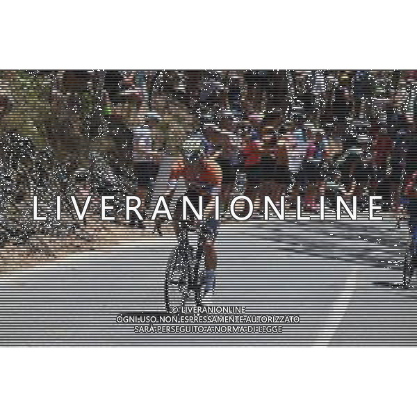 25-01-2025 Tour Down Under; Tappa 05 Mclaren Vale - Willunga Hill; 2025, Movistar; Romo, Javier; Willunga Hill; ©SIROTTI- AGENZIA ALDO LIVERANI SAS