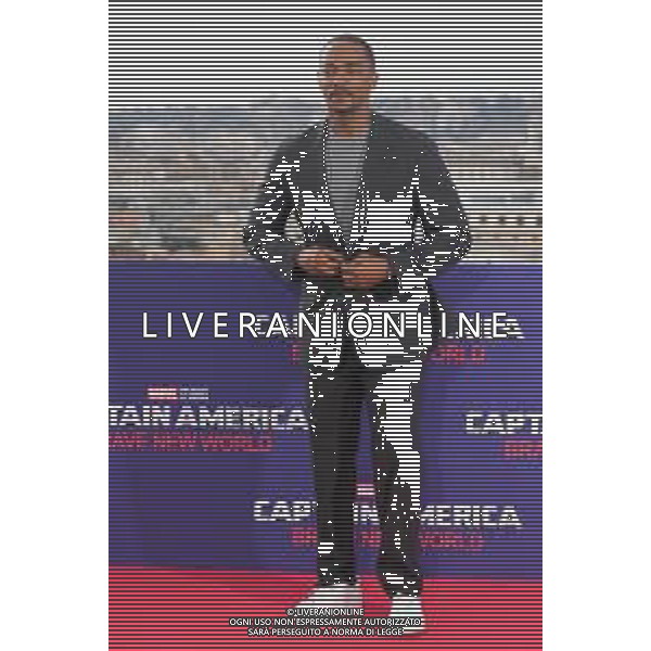 Roma - 27-01-2025‚Photocall Captain America: Brave New World‚ Nella foto: Anthony Mackie Andrea Bracaglia - AGENZIA ALDO LIVERANI SAS
