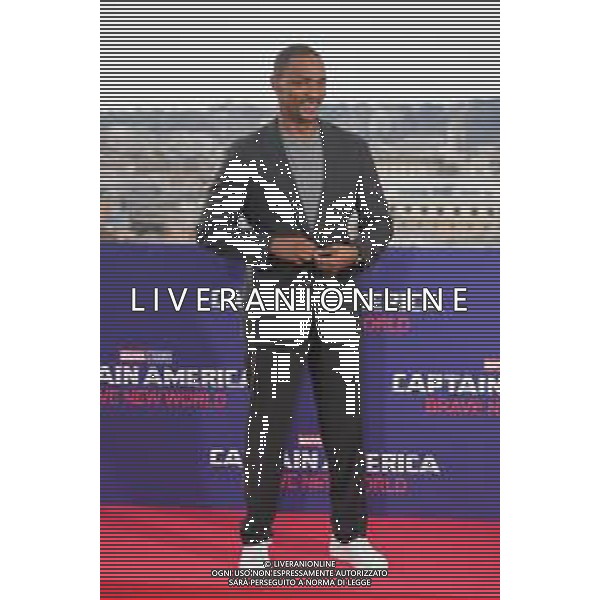 Roma - 27-01-2025‚Photocall Captain America: Brave New World‚ Nella foto: Anthony Mackie Andrea Bracaglia - AGENZIA ALDO LIVERANI SAS