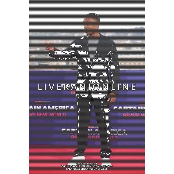 Roma - 27-01-2025‚Photocall Captain America: Brave New World‚ Nella foto: Anthony Mackie Andrea Bracaglia - AGENZIA ALDO LIVERANI SAS