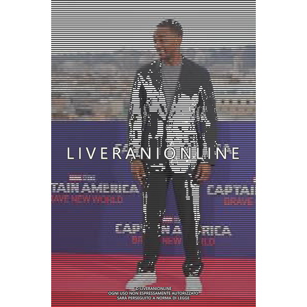 Roma - 27-01-2025‚Photocall Captain America: Brave New World‚ Nella foto: Anthony Mackie Andrea Bracaglia - AGENZIA ALDO LIVERANI SAS