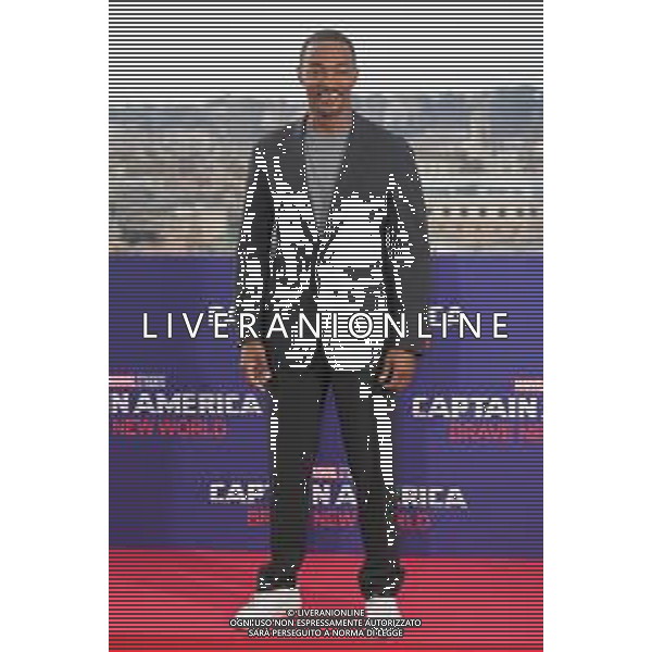 Roma - 27-01-2025‚Photocall Captain America: Brave New World‚ Nella foto: Anthony Mackie Andrea Bracaglia - AGENZIA ALDO LIVERANI SAS