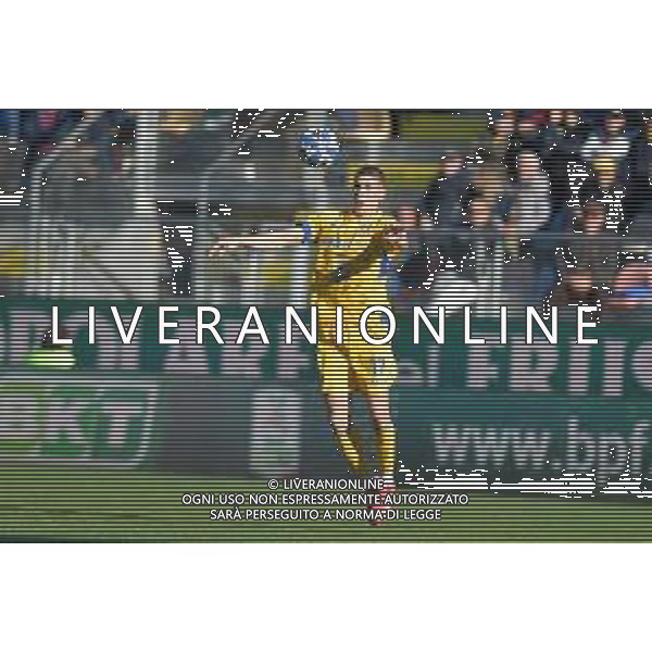 Frosinone vs Reggiana Campionato Serie BKT - 26 Giornata Stadio Benito Stirpe - Frosinone 16-02-2025 nella foto Giorgi Kvernadze foto federico gaetano-ag aldo liverani sas