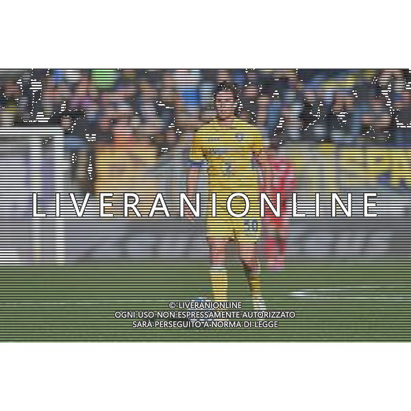 Frosinone vs Reggiana Campionato Serie BKT - 26 Giornata Stadio Benito Stirpe - Frosinone 16-02-2025 nella foto Ilario Monterisi foto federico gaetano-ag aldo liverani sas