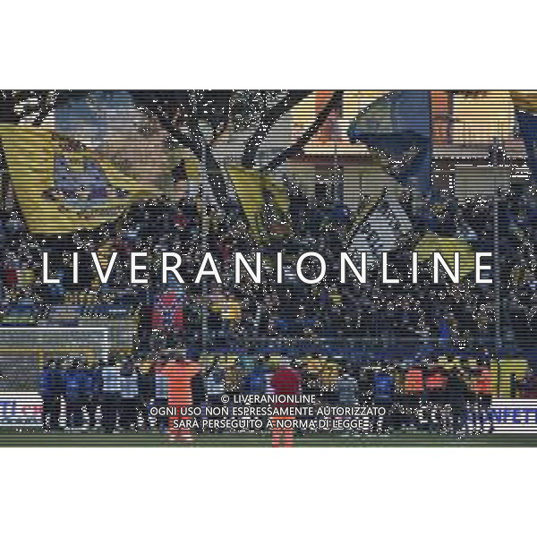 Juve Stabia vs Cosenza Campionato Serie BKT 2024-2025 Castellemmare di Stabia 16/272025 Nella foto: Festa fine gara Juve Stabia @Foto Andrea Rosito Agenzia Liverani SAS