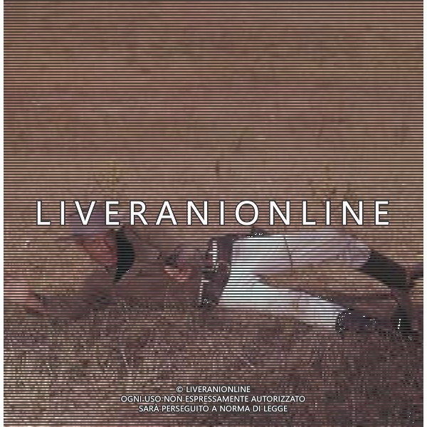 COL-RETROSPETTIVA GUY MADISON ATTORE NELLA FOTO GUY MADISON ARCHIVIO GIVANNI LIVERANI-AG ALDO LIVERANI SAS