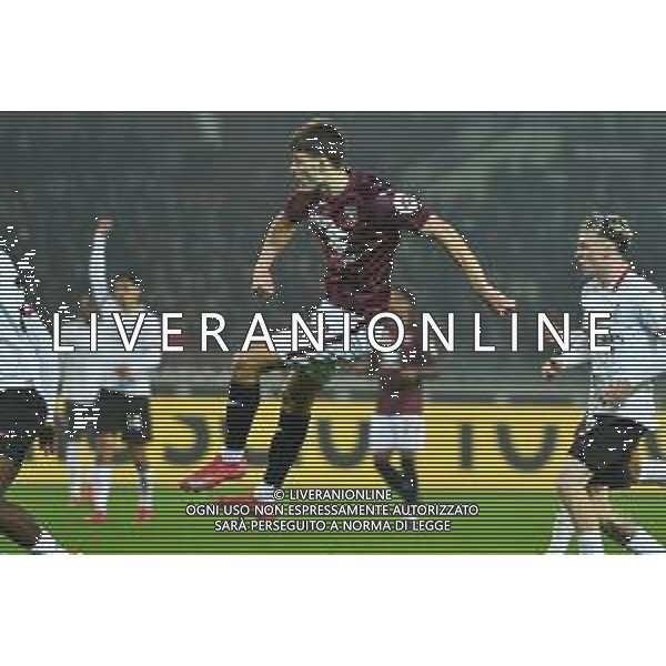 Torino 22.02.25 Stadio Grande Torino @Manuela Viganti/Ag. Aldo Liverani sas Torino vs Milan Campionato Calcio Serie A Enilive 2024/2025 26a giornata Nella foto: Gol di Gvidas Gineitis ©Viganti - AG ALDO LIVERANI SAS