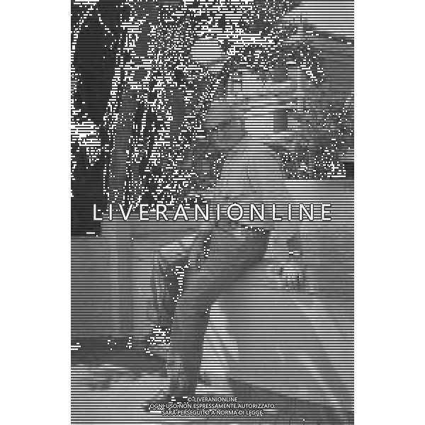 NEG-RETROSPETTIVA ANTONIO LUBRANO GIORNALISTA E CONDUTTORE TELEVISIVO NELLA FOTO ANTONIO LUBRANO NELL\'ANNO 1989 AG ALDO LIVERANI SAS