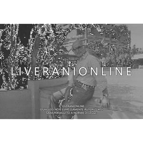 NEG-RETROSPETTIVA ANTONIO LUBRANO GIORNALISTA E CONDUTTORE TELEVISIVO NELLA FOTO ANTONIO LUBRANO NELL\'ANNO 1989 AG ALDO LIVERANI SAS
