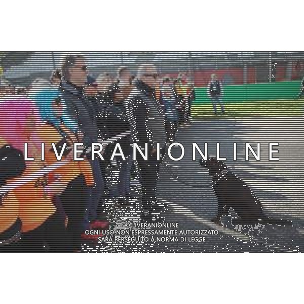 IMOLA 02 03 2025 CORRIMOLA 6a EDIZIONE IN FAVORE DI LILT (LEGA ITALIANA PER LA LOTTA CONTRO I TUMORI) PRESENTE SINDACO DI IMOLA MARCO PANIERI NELLA FOTO ASSESSORE PIERANGELO RAFFINI ©SANNA - AGENZIA ALDO LIVERANI SAS