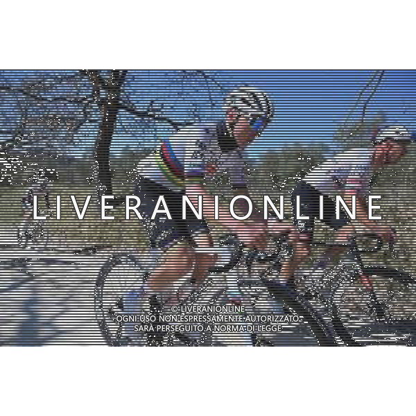 06-03-2025 Allenamento Strade Bianche 2025; 2025, Uae Team Emirates - Xrg; Pogacar, Tadej; Le Tolfe; ©SIROTTI - AGENZIA ALDO LIVERANI SAS