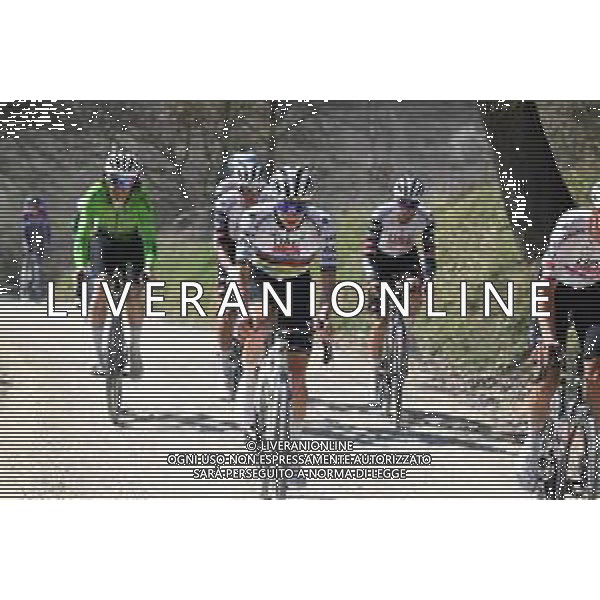 06-03-2025 Allenamento Strade Bianche 2025; 2025, Uae Team Emirates - Xrg; Pogacar, Tadej; Le Tolfe; ©SIROTTI - AGENZIA ALDO LIVERANI SAS