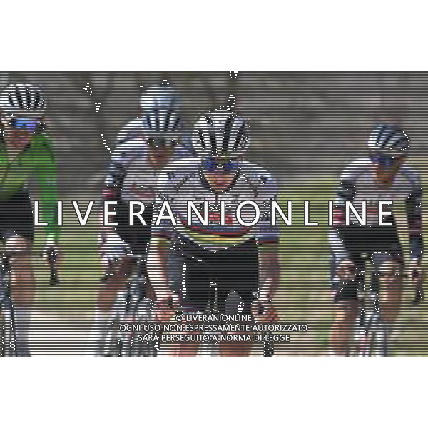 06-03-2025 Allenamento Strade Bianche 2025; 2025, Uae Team Emirates - Xrg; Pogacar, Tadej; Le Tolfe; ©SIROTTI - AGENZIA ALDO LIVERANI SAS