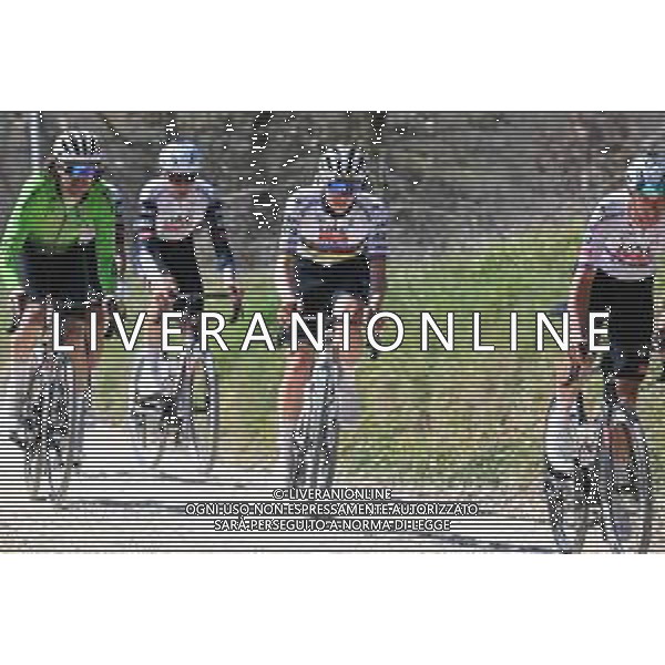 06-03-2025 Allenamento Strade Bianche 2025; 2025, Uae Team Emirates - Xrg; Pogacar, Tadej; Le Tolfe; ©SIROTTI - AGENZIA ALDO LIVERANI SAS