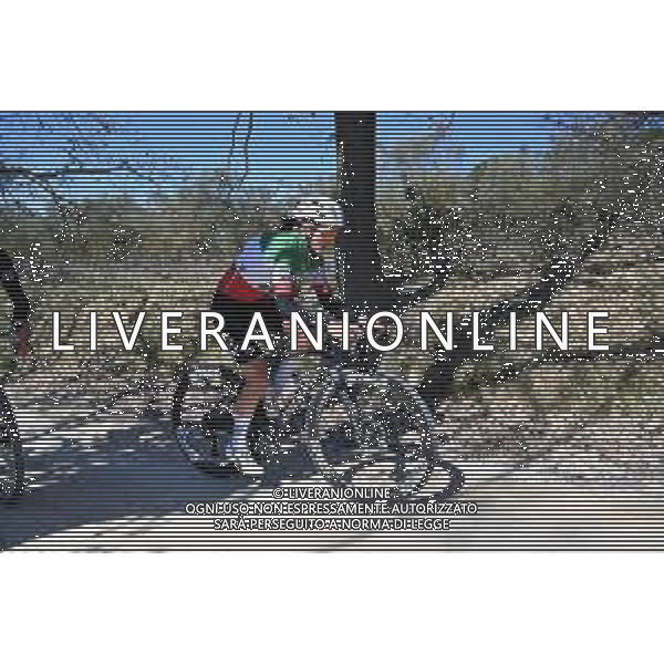 06-03-2025 Allenamento Strade Bianche 2025; 2025, Uae - Adq; Longo Borghini, Elisa; Le Tolfe; ©SIROTTI - AGENZIA ALDO LIVERANI SAS