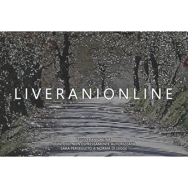 06-03-2025 Allenamento Strade Bianche 2025; Le Tolfe; ©SIROTTI - AGENZIA ALDO LIVERANI SAS