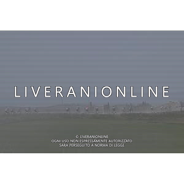 08-03-2025 Strade Bianche; Lucignano D\'asso; ©SIROTTI - AGENZIA ALDO LIVERANI SAS