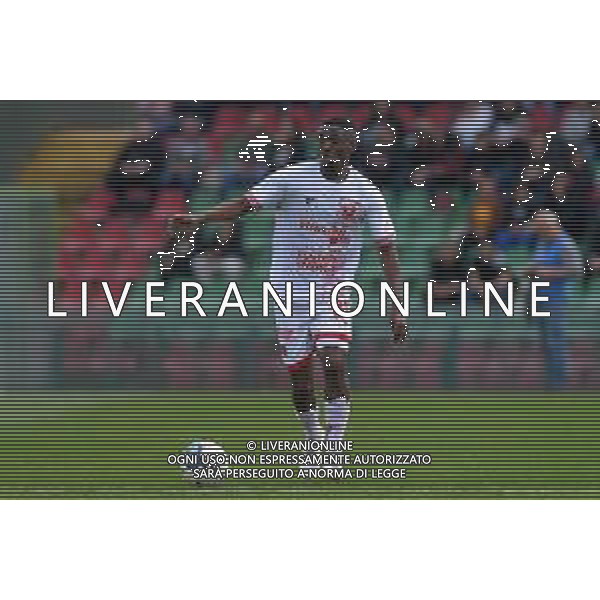 Ternana vs Perugia Campionato Serie C Now - 33 Giornata Stadio Libero Liberati - Terni 23-03-2025 nella foto Jeremie Broh foto federico gaetano-ag aldo liverani sas
