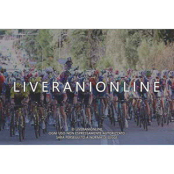 25-03-2025 Vuelta A Catalunya; Tappa 02 Banyoles - Figueres; 2025, Red Bull - Bora Hansgrohe; Roglic, Primoz; Tratnik, Jan; Figueres; ©SIROTTI - AGENZIA ALDO LIVERANI SAS