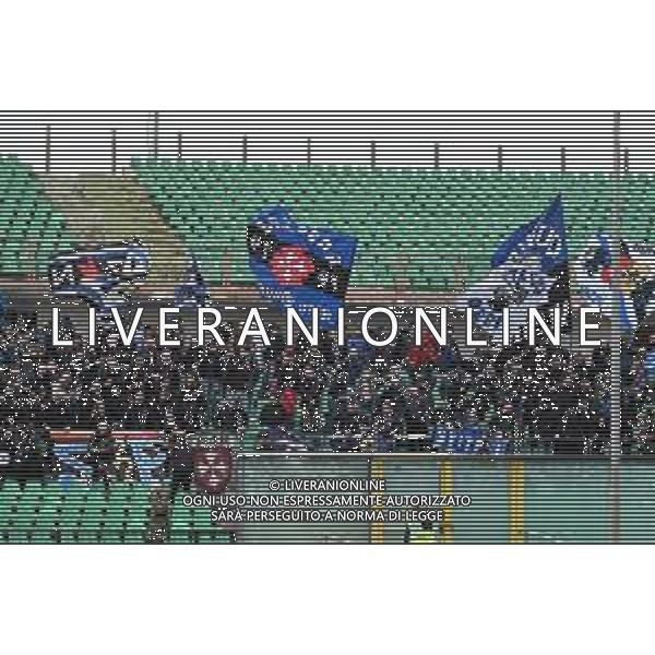 Serie B 2024-2025 Cosenza vs Pisa 29/03/2025 Nella foto: Tifosi Pisa Foto Andrea Rosito-Agenzia Liverani Sas - Cosenza vs Pisa Campionato Calcio Serie B 29.03.2025