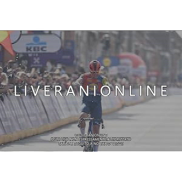 30-03-2025 Gent - Wevelgem; 2025, Lidl - Trek; Pedersen, Mads; Wevelgem; ©SIROTTI - AGENZIA ALDO LIVERANI SAS