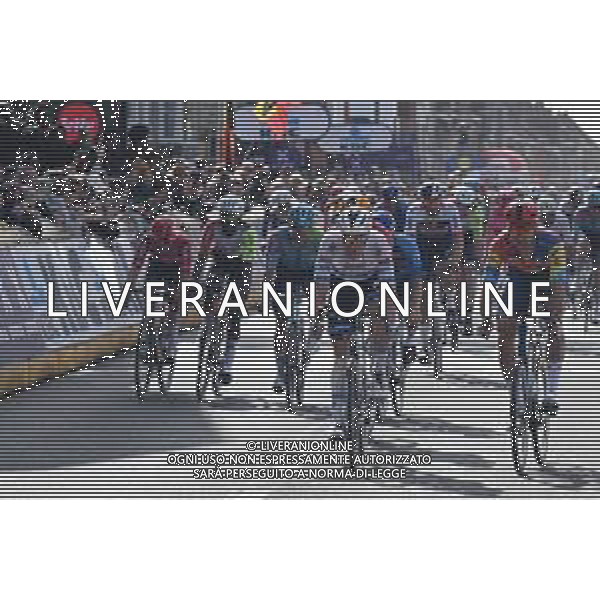 30-03-2025 Gent - Wevelgem; 2025, Soudal - Quick Step; 2025, Lidl - Trek; Merlier, Tim; Milan, Jonathan; Wevelgem; ©SIROTTI - AGENZIA ALDO LIVERANI SAS