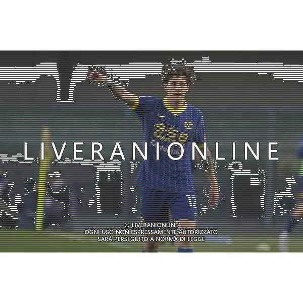 Domagoj Bradaric of Hellas Verona FC gestures during Hellas Verona FC vs AC Parma, 30° Serie A Enilive 2024-25 game at Marcantonio Bentegodi stadium in Verona (VR), Italy, on March 31, 2025. (Photo by Davide Casentini)- AGENZIA ALDO LIVERANI SAS