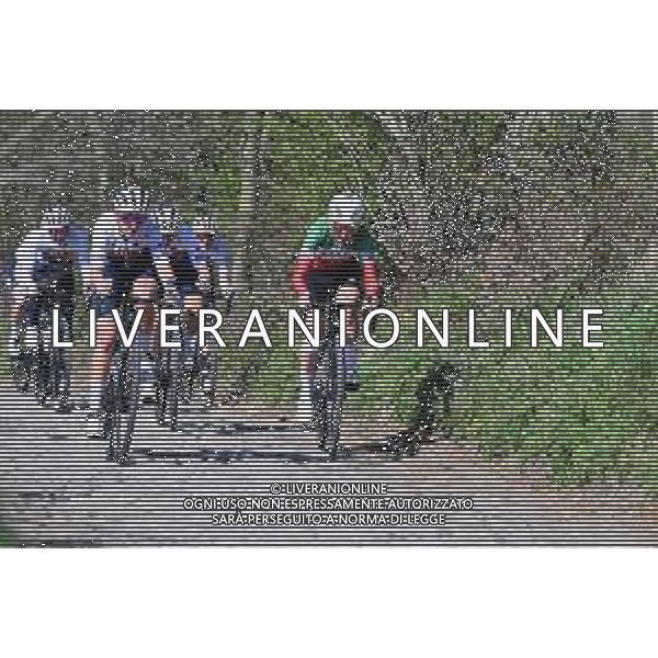 03-04-2025 Allenamento Tour Des Flandres 2025; 2025, Uae - Adq; Longo Borghini, Elisa; Koppenberg; ©SIROTTI - AGENZIA ALDO LIVERANI SAS
