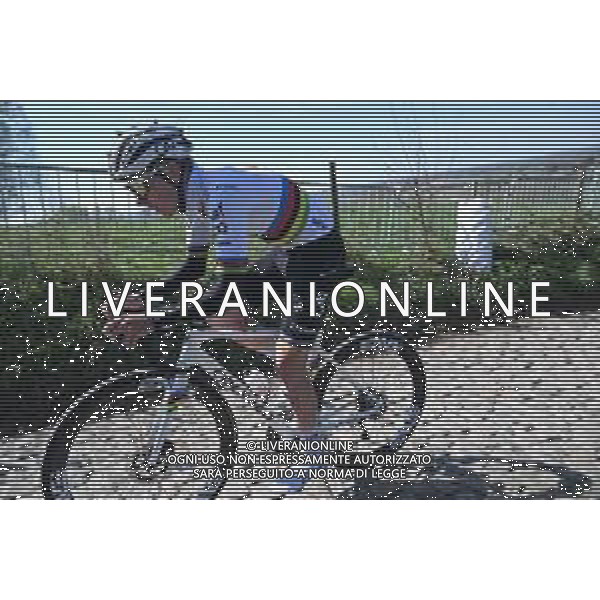 04-04-2025 Allenamento 2 Tour Des Flandres 2025; 2025, Uae Team Emirates - Xrg; Pogacar, Tadej; Koppenberg;