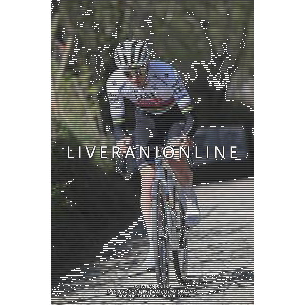 04-04-2025 Allenamento 2 Tour Des Flandres 2025; 2025, Uae Team Emirates - Xrg; Pogacar, Tadej; Koppenberg;