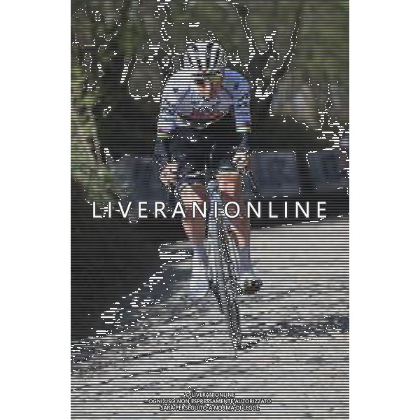 04-04-2025 Allenamento 2 Tour Des Flandres 2025; 2025, Uae Team Emirates - Xrg; Pogacar, Tadej; Koppenberg;