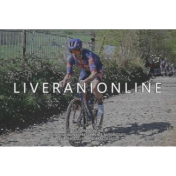 04-04-2025 Allenamento 2 Tour Des Flandres 2025; 2025, Picnic - Postnl; Degenkolb, John; Koppenberg;