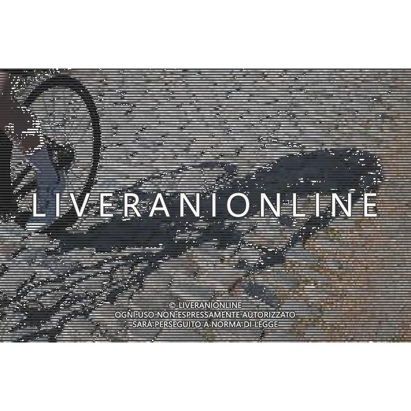 04-04-2025 Allenamento 2 Tour Des Flandres 2025; Koppenberg;
