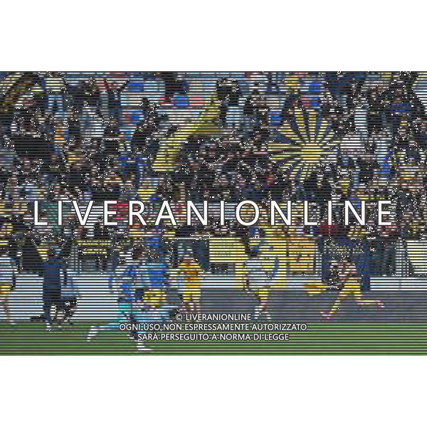 Campionato Serie BKT 2024-2025 Frosinone 5 Aprile 2025 (Stadio Benito Stirpe) Nella foto festa gol pareggio Frosinone ©ANDREA ROSITO -AGENZIA ALDO LIVERANI SAS -Frosinone - Cosenza Campionato Serie BKT 05.04.2025