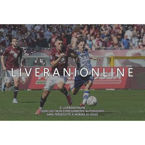 TVMV-Torino 06.04.2025 Stadio Grande Torino @Manuela Viganti/Ag. Aldo Liverani sas Torino vs Hellas Verona Campionato Calcio Serie A Enilive 2024/2025 31a giornata Nella foto: gvidas gineitis e domagoj bradaric ©TVMV Viganti - AGENZIA ALDO LIVERANI SAS