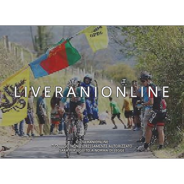 10-04-2025 Itzulia Basque Country; Tappa 04 Beasain - Markina Xemein; 2025, Uae Team Emirates - Xrg; Almeida, Joao; ©SIROTTI - AGENZIA ALDO LIVERANI SAS
