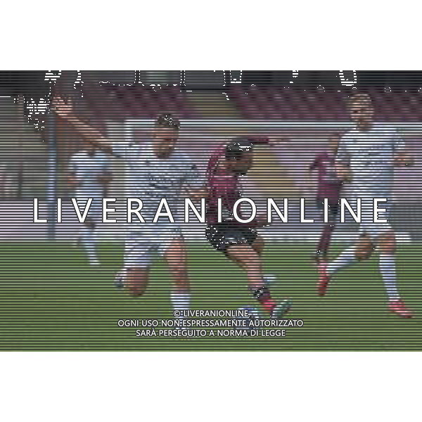 12 04 2025 - Salerno. Stadio Arechi. Campionato Serie B. Salernitana-Sud Tirol Nella foto Simone Davi, Daniele Verde Foto Giuseppe Cuozzo/Agenzia Liverani- AGENZIA ALDO LIVERANI SAS