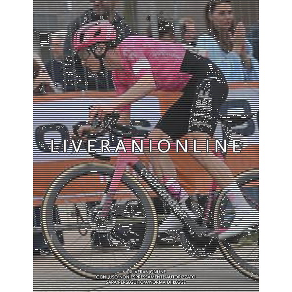 20-04-2025 Amstel Gold Race; 2025, Ef Education - Easypost; Powless, Neilson; Valkenburg; ©SIROTTI - AGENZIA ALDO LIVERANI SAS