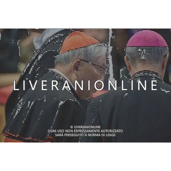 Città del Vaticano - 24 Aprile 2025 Una delegazione di Cardinali arriva nella basilica di San Pietro per rendere omaggio a Papa Francesco. Nella Foto:  Andrea Bracaglia- AGENZIA ALDO LIVERANI SAS